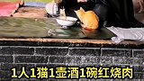1人1猫1壶酒1碗红烧肉，大爷算是活明白了