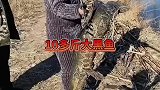 我要是钓到这么大的鱼，我都能炫耀三个月