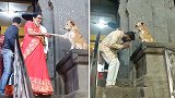 印度：一只流浪狗在寺庙外与信徒挨个握手送上“祝福”