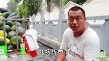 用孙红雷的语气买西瓜，商贩直接让我滚，有点怕了