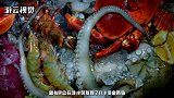 日本发生奇怪现象，难道是有什么预言？看完后你就明白了