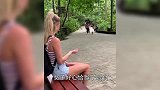 猴子在家犯了错，主人对其进行教育，下一秒主人差点被气死！