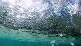 这个夏天想和你一起去看海