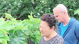 中国丈母娘在澳洲种冬瓜，还得给冬瓜授粉，丈母娘无所不能呀