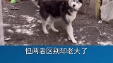 你知道吗你对神经病的误解太深了