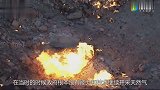 大火烧了整整47年，每年损失近500亿，政府为何至今都不扑灭