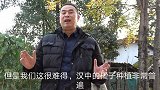 汉中柚子啥味道？很多人没见过更没吃过，是最北方的柚子吗？！