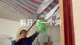 外婆屋顶一直有动静，打开一看竟然一窝小猫咪