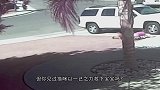 小主人即将摔下楼梯，猫咪瞬间飞扑营救小主人，镜头拍下全过程！