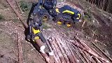 德国造了个伐木机，60秒就能解决一棵树，瞬间节省了人力物力我是工程师 抖inAWE