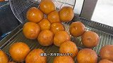 福建大叔传承3代手艺做特色小吃38年，高峰一天要做8000个坚持手工
