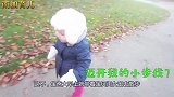 宝宝迈着小短腿追赶前面的爸爸，宝：坏爸爸，你等等我呀！
