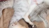 你俩来凑数的