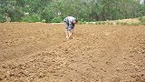 干旱太久，地里要种庄稼，实在没办法，只有放水库的水灌溉农田