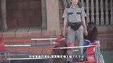2只猩猩打拳击，台下的观众就笑得肚子疼，镜头拍下搞笑瞬间