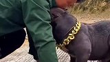 该你倒霉是躲不掉的