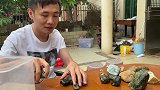 初生牛犊不怕坑！今天给玩赌石的年轻小伙上一课，能不能劝醒？