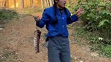 好不容易加肉结果没了