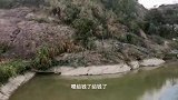 两小时钓条青鱼，被鱼塘老板赶走了，好尴尬