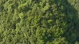 一座山尖顶上竟建有寺庙，如何建上去的呢