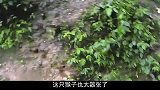 拿它出来一亮，峨眉山猴子立刻连滚带爬！
