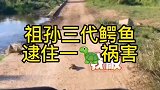 小腿还挺快你想往哪跑