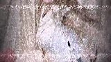 动感舞蹈精彩好看，值得点赞