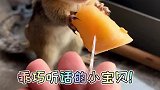 乖巧听话的宝宝就有好东西吃！