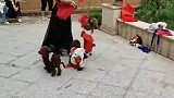 狗狗和主人跳舞，配合默契