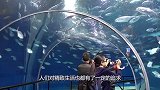 日本泡温泉是男女混浴，女子的隐私如何保护？镜头拍下害羞经历