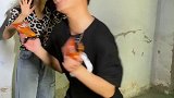 八爪烧 你知道为什么开除的是捡了八爪烧的人吗？ 好吃美食一定要看到最后