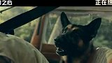 《野兽之心》今日正式上映