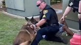 美国一名警察牵着警犬驱赶几名年轻人时反被自己的警犬咬手臂