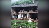 浙江丽水山区暴发洪水 公路成河汽车在“河”里漂