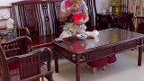 竹竿兄又办了一件事