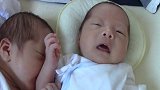 爸爸把刚出生一个月的双胞胎放在一起，紧接着的一幕太搞笑了