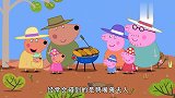 佩奇家在野餐，没遇到鸭太太，结果却见到了鸭嘴兽夫人！