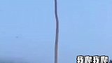 摘个椰子也太难了，这摘到了不得发个朋友圈