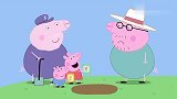 小猪佩奇：猪爸爸看到猪爷爷，却一脸的不高兴，一转眼成了稻草人