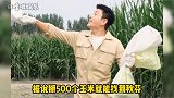 贾乃亮秋芬竟是我自己 找了这么半天秋芬竟然是自己 亮哥：就很突然哈哈哈哈富域计划
