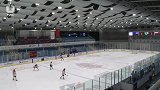 2019中国大学生冰球锦标赛淘汰赛 北京大学0-7黑河学院