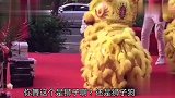 你舞的是狮子还是，狮子狗啊，太逗了