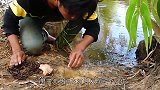 男子用鞭炮抓鱼，鱼儿竟被“吓”了出来，鱼：吓我一跳