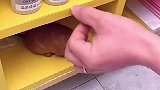 油性胶水，塑料，金属，陶瓷，本材，石材，皮革，玻璃，小孩玩具等等都可以粘