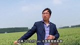 人类迷惑图鉴，家有此妻，枸杞难医