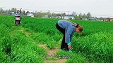 大妹子，你这一脚踹的，差点给我笑岔气了！