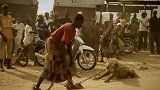 鬣狗为什么会怕非洲人这个视频告诉你！