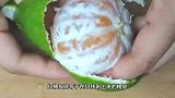 雪梨邂逅橘子，巧妙搭配之法，化解生活困扰超轻松