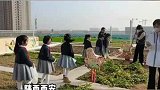 一小学上丰收课，挖自己种的红薯带回家