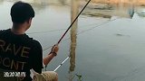 小哥酷爱简单装备战黑坑，不为鱼获却接连上鱼、只为中鱼的那一刻